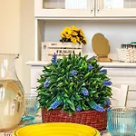 Budapest Apartment, Vista Mare Rif A489 * San Benedetto del Tronto